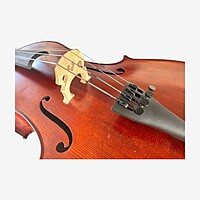 Entry-level cellos